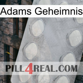 Adams Secret 16